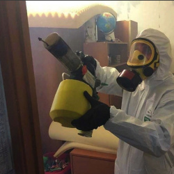 Уничтожение клопов в квартире. Тушинская